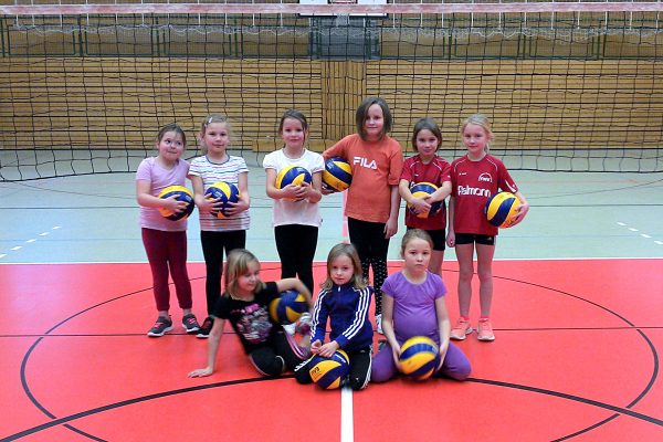 Volley-Ball-Schule . Jenaplan-Schule Suhl AG Sport 2014-15